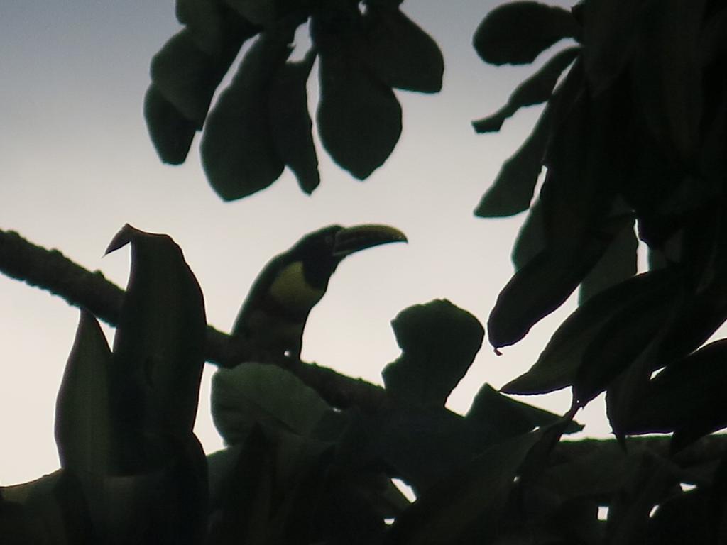 Hostel Y Posada Colibri 伊瓜苏港 外观 照片