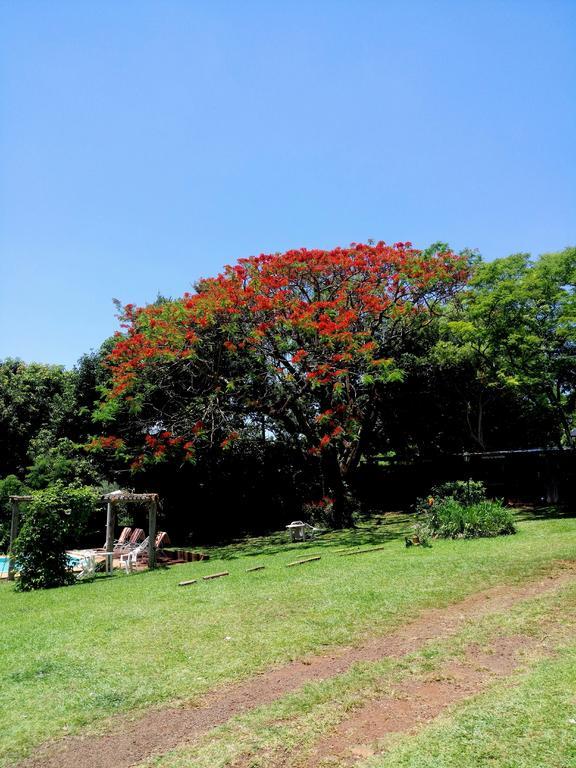 Hostel Y Posada Colibri 伊瓜苏港 外观 照片