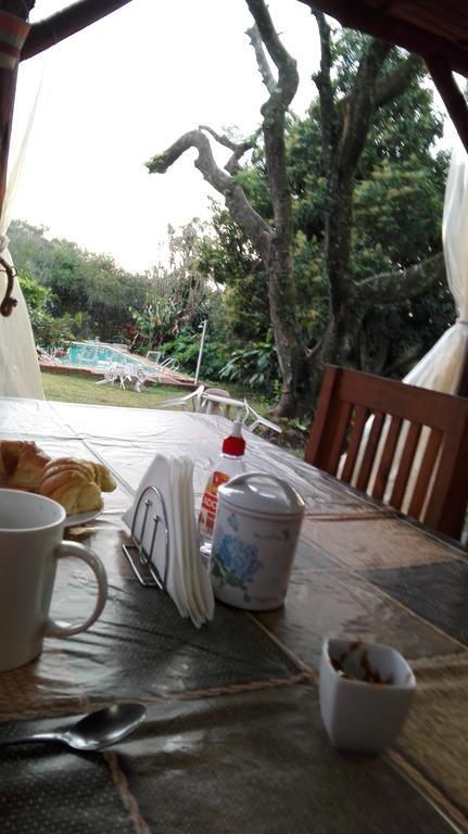 Hostel Y Posada Colibri 伊瓜苏港 外观 照片